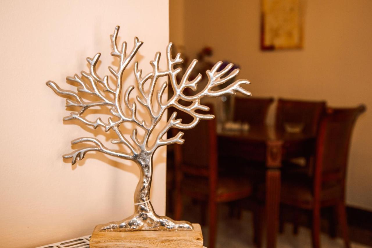 Oasis Zante Apartment מראה חיצוני תמונה